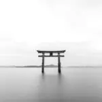 Picture of Torii Gate
